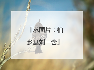 求图片：柏乡县刘一含