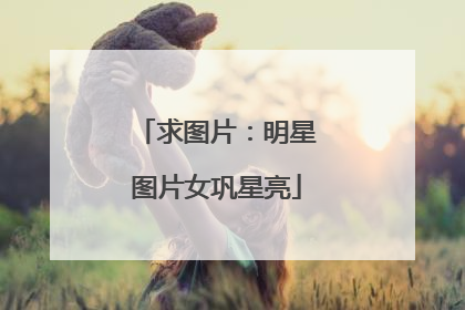 求图片:明星图片女巩星亮