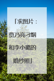 求图片：贾乃亮刁烟和李小璐的婚纱照