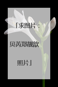 求图片:贝芮郑靓歆照片