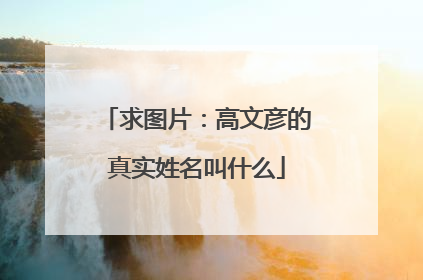 求图片:高文彦的真实姓名叫什么