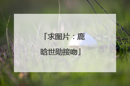 求图片:鹿晗世勋接吻