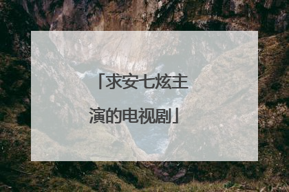 求安七炫主演的电视剧