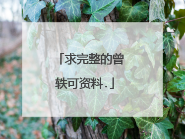 求完整的曾轶可资料.