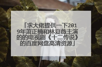 求大佬提供一下2019年萧正楠和林夏薇主演的的电视剧《十二传说》的百度网盘高清资源