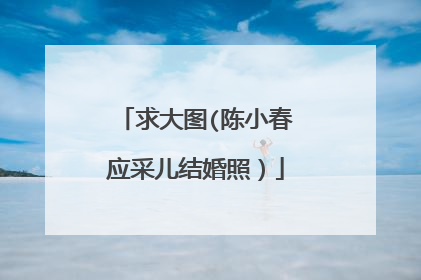 求大图(陈小春应采儿结婚照）