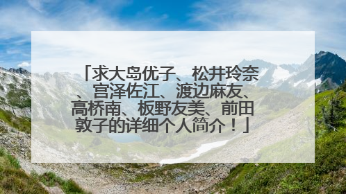 求大岛优子、松井玲奈、宫泽佐江、渡边麻友、高桥南、板野友美、前田敦子的详细个人简介！