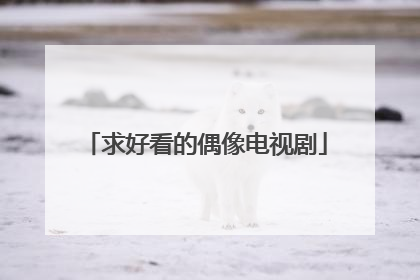 求好看的偶像电视剧