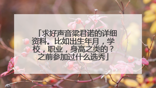 求好声音梁君诺的详细资料。比如出生年月，学校，职业，身高之类的？之前参加过什么选秀