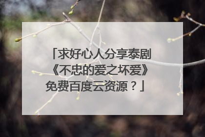求好心人分享泰剧《不忠的爱之坏爱》免费百度云资源?