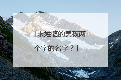 求姓骆的男孩两个字的名字?