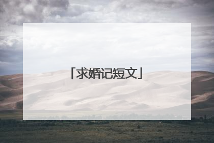 求婚记短文