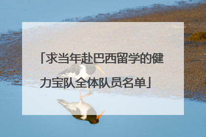 求当年赴巴西留学的健力宝队全体队员名单