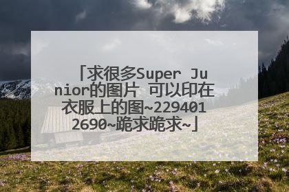 求很多Super Junior的图片 可以印在衣服上的图~2294012690~跪求跪求~