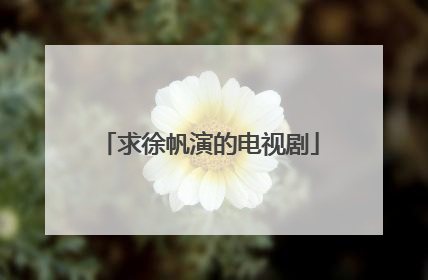 求徐帆演的电视剧