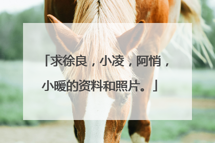 求徐良,小凌,阿悄,小暖的资料和照片。