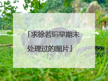 求徐若瑄早期未处理过的图片