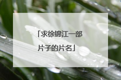 求徐锦江一部片子的片名