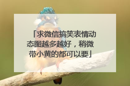 求微信搞笑表情动态图越多越好,稍微带小黄的都可以要