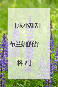 求小甜甜布兰妮的资料?