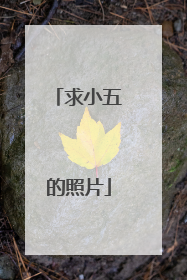 求小五的照片