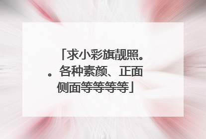 求小彩旗靓照。。各种素颜、正面侧面等等等等
