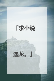 求小说遇龙。