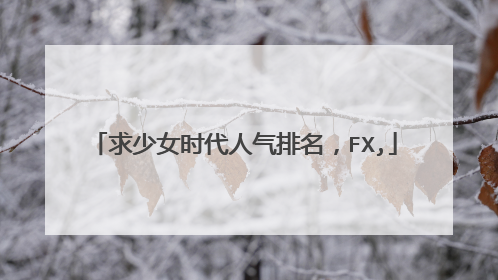 求少女时代人气排名,FX,