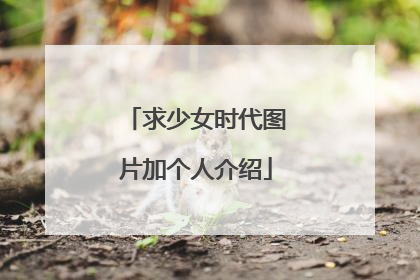求少女时代图片加个人介绍