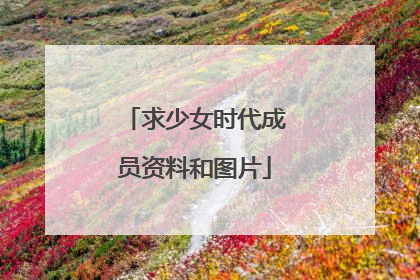 求少女时代成员资料和图片
