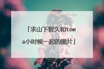 求山下智久和toma小时候一起的图片