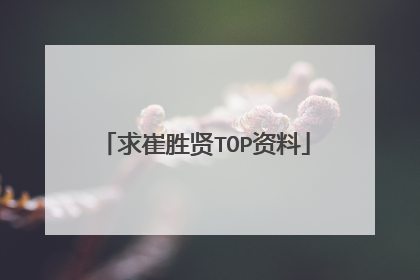 求崔胜贤TOP资料