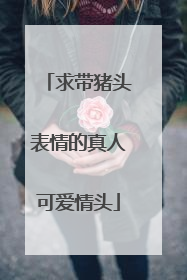 求带猪头表情的真人可爱情头