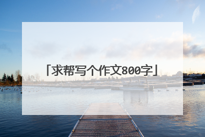 求帮写个作文800字
