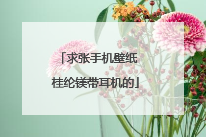 求张手机壁纸 桂纶镁带耳机的