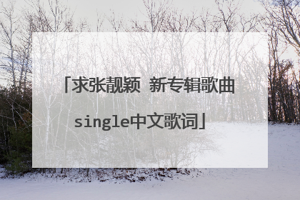 求张靓颖 新专辑歌曲single中文歌词