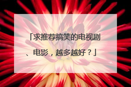 求推荐搞笑的电视剧、电影,越多越好?