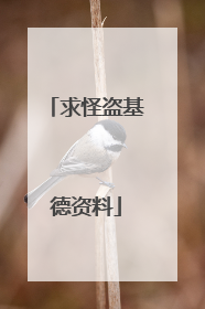 求怪盗基德资料