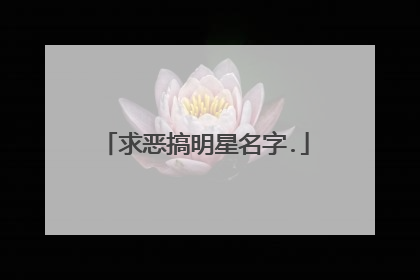 求恶搞明星名字.