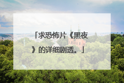 求恐怖片《黑夜》的详细剧透。