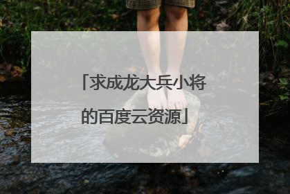 求成龙大兵小将的百度云资源