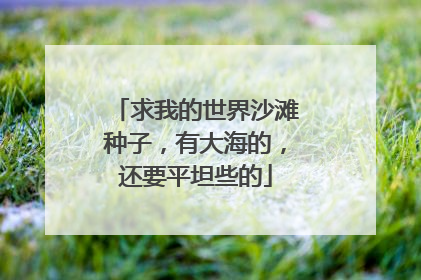 求我的世界沙滩种子,有大海的,还要平坦些的