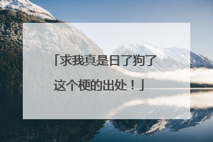 求我真是日了狗了这个梗的出处！