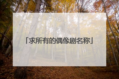 求所有的偶像剧名称