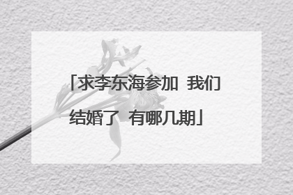 求李东海参加 我们结婚了 有哪几期
