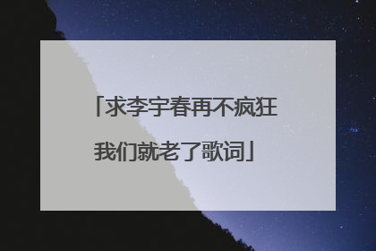 求李宇春再不疯狂我们就老了歌词