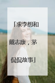 求李想和戴志康，茅侃侃故事