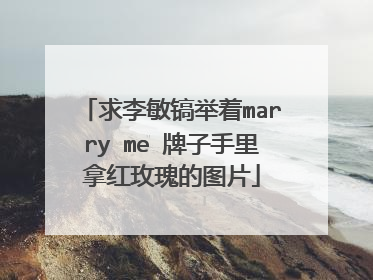 求李敏镐举着marry me 牌子手里拿红玫瑰的图片