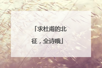 求杜甫的北征,全诗哦