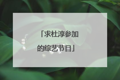 求杜淳参加的综艺节目